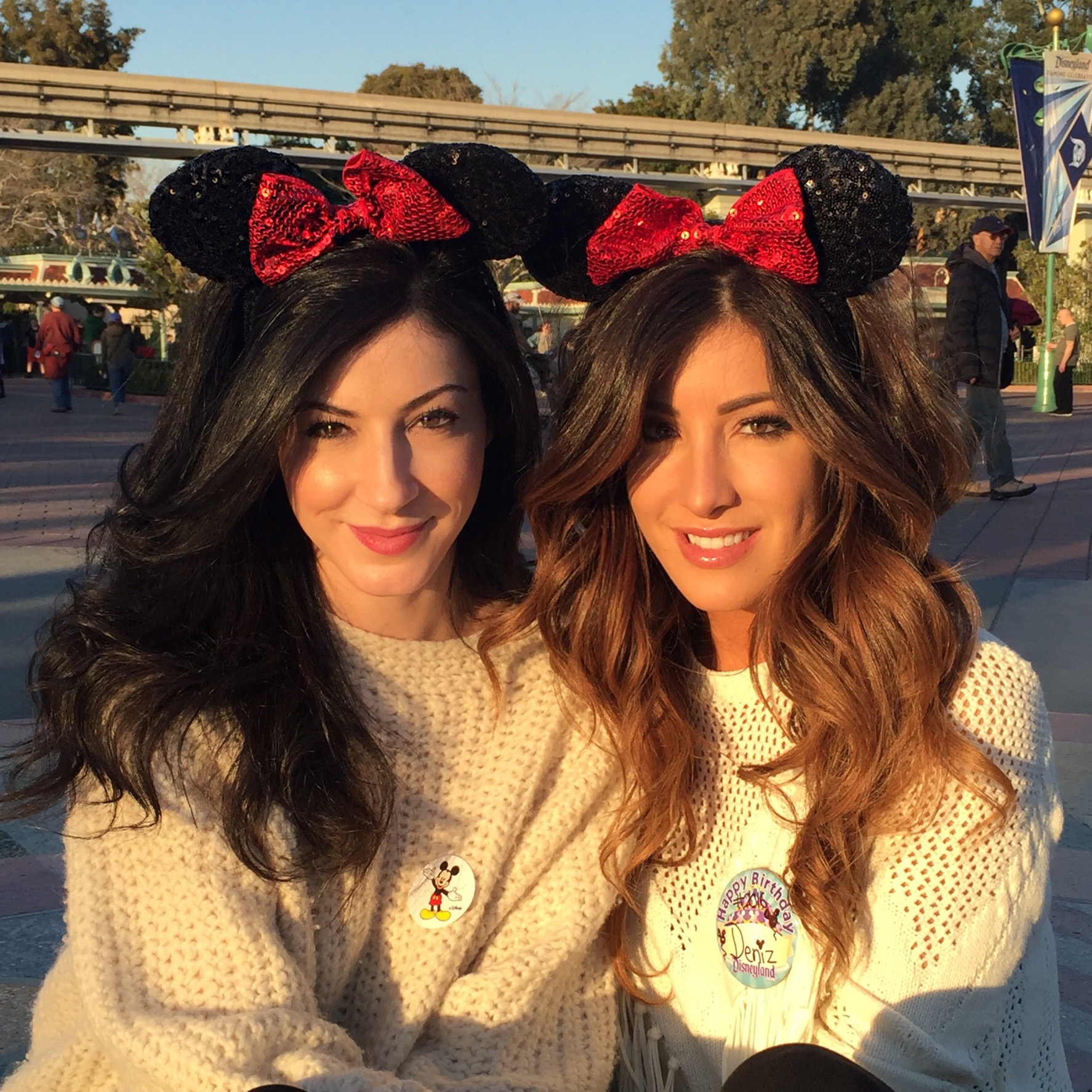 bloggers at disneyland