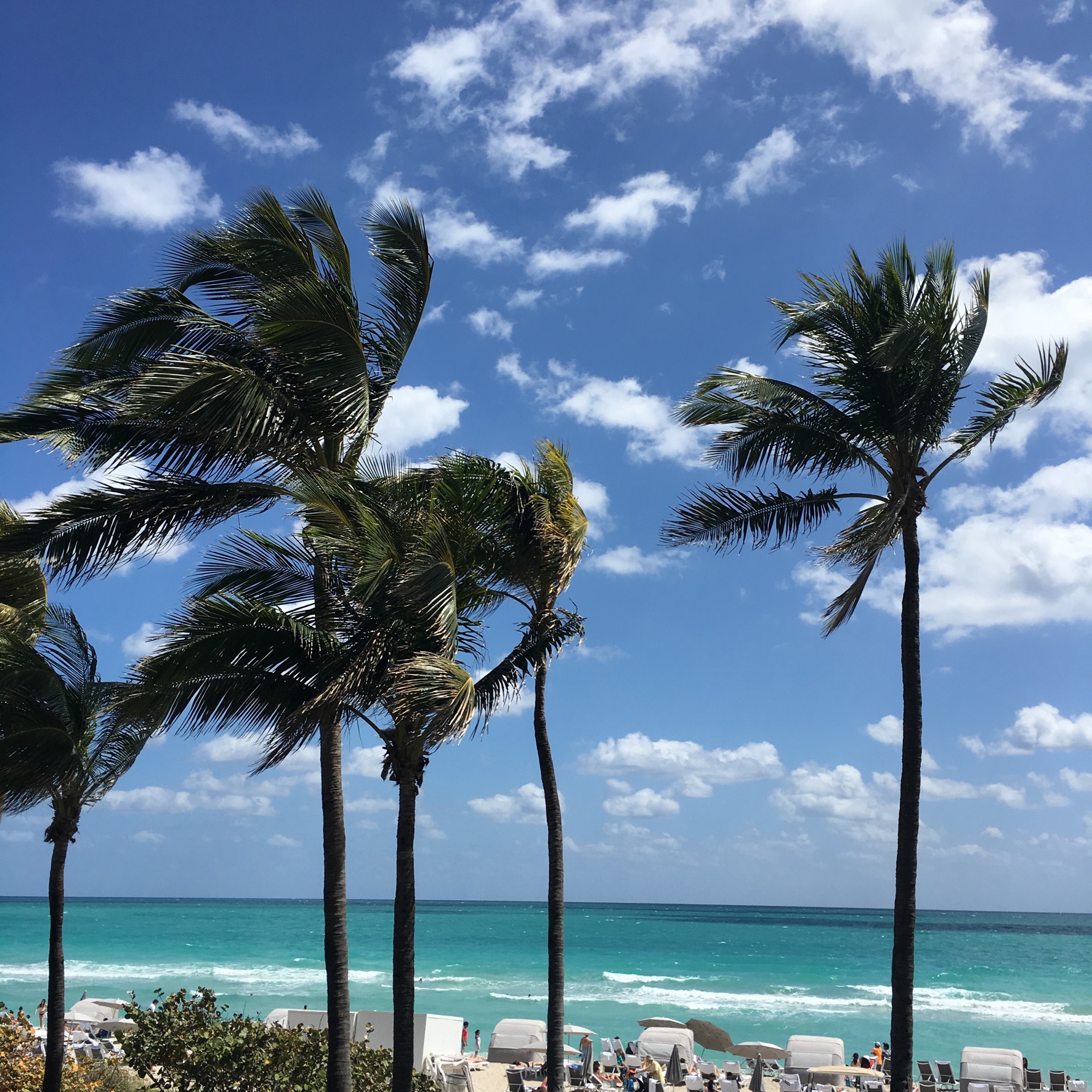 miami beach travel guide