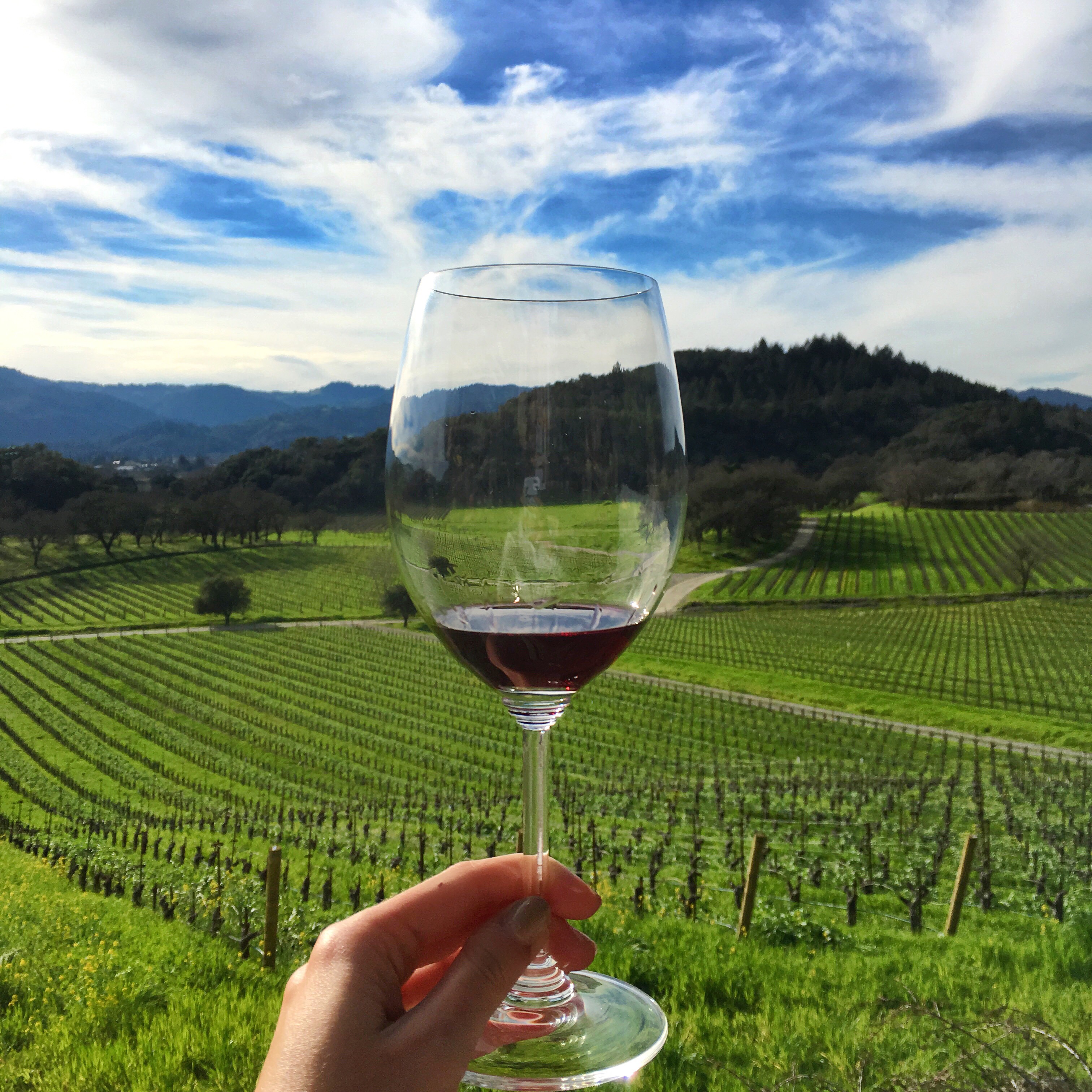 best wineries in napa valley