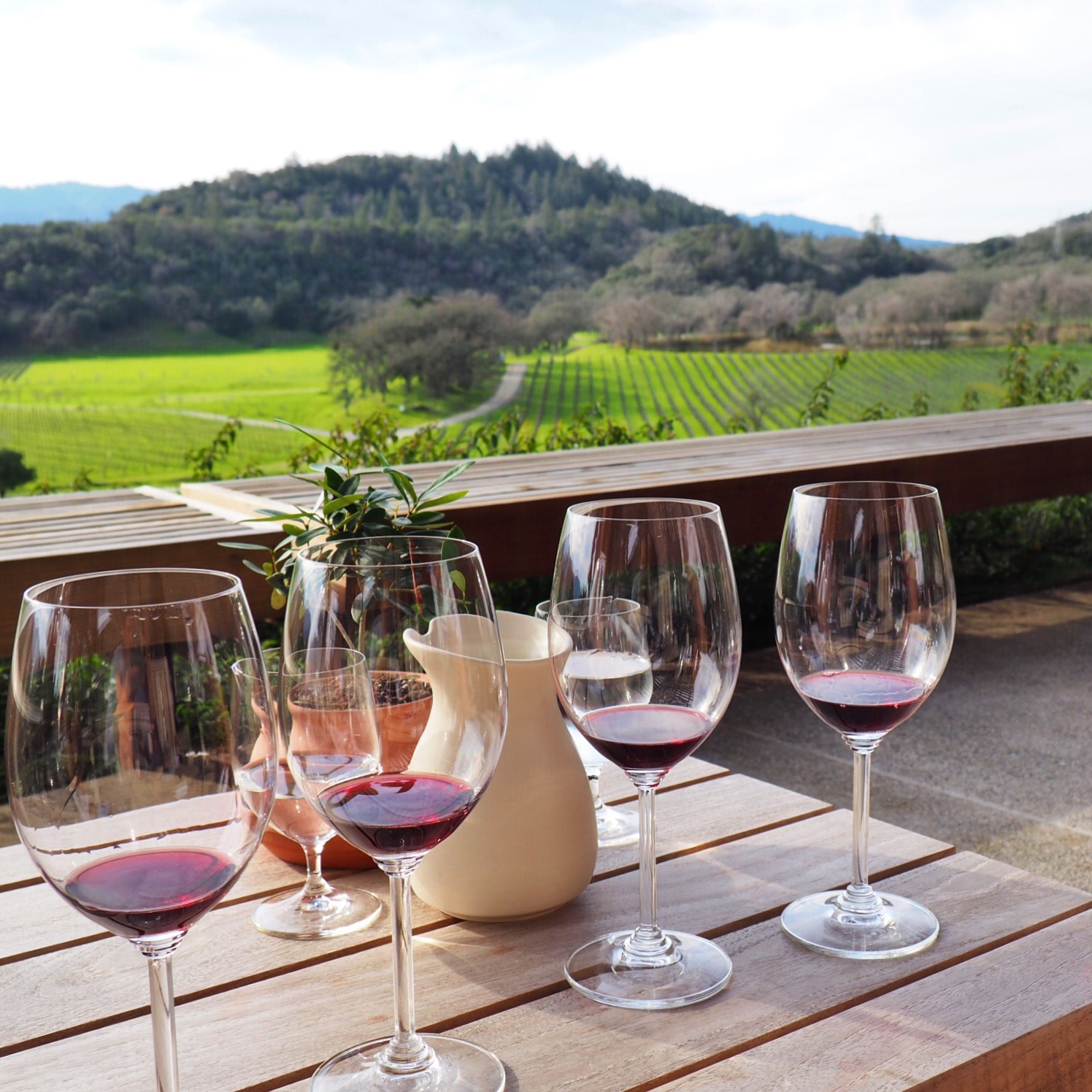 best wineries in napa valley