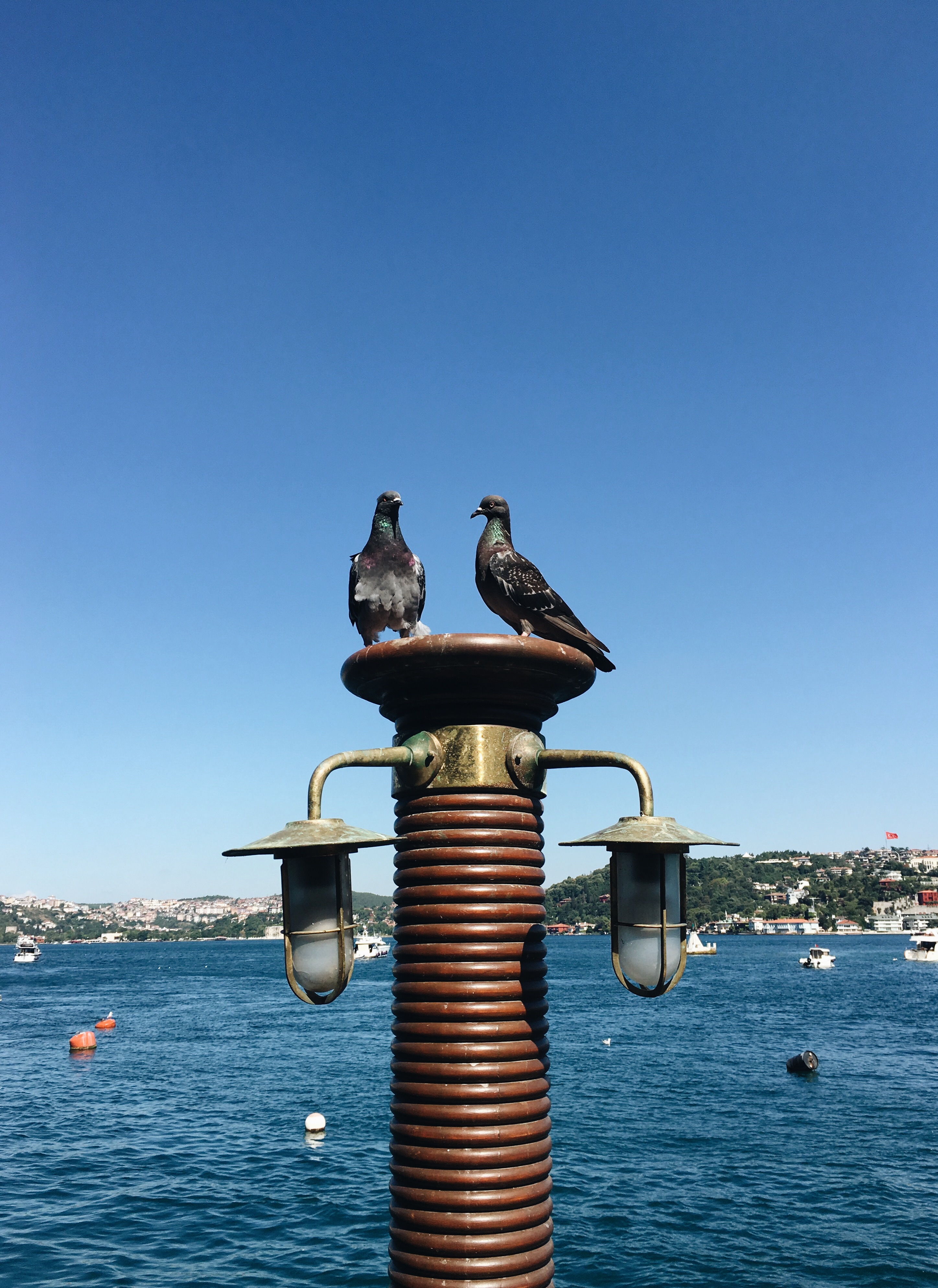 what to do in istanbul