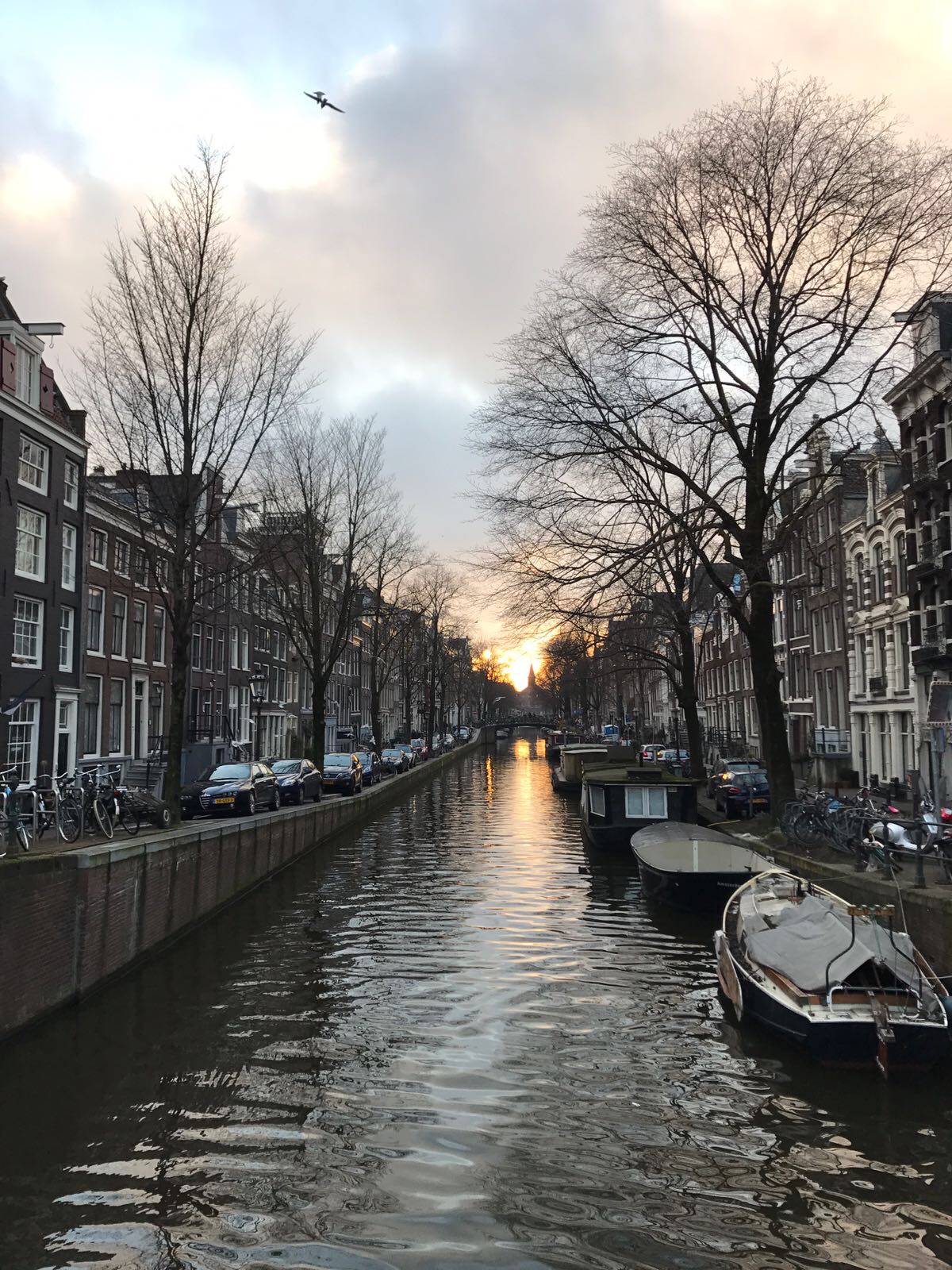 amsterdam city guide american express