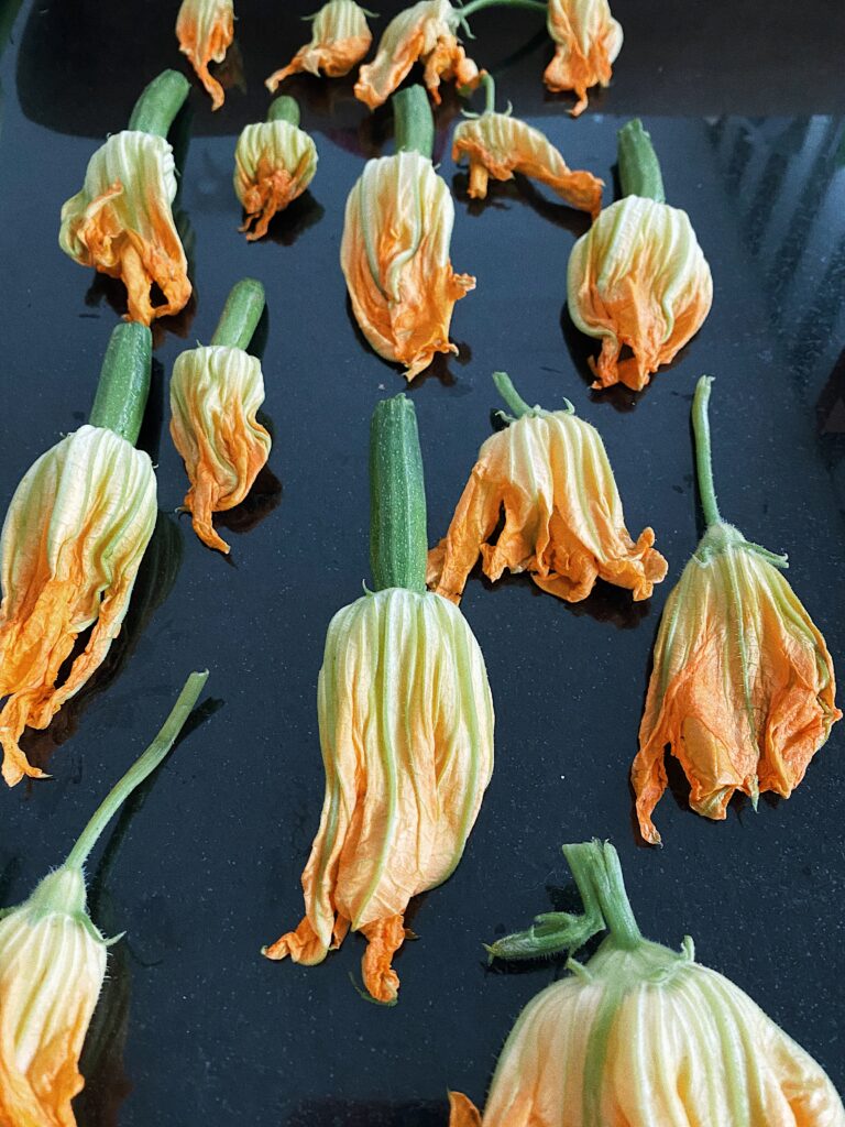 Italian fried zucchini flowers recipe